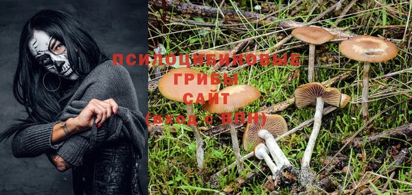 apvp Белоозёрский