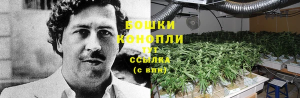 герыч Тайга