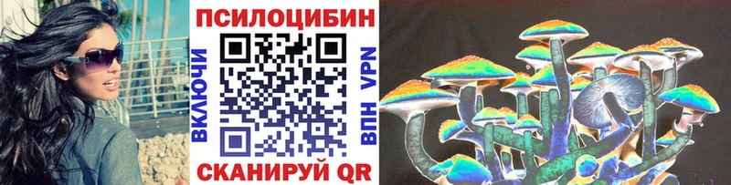 ОМГ ОМГ   Холм  Псилоцибиновые грибы мицелий  хочу наркоту 